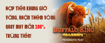 Trở Thành Đối Tác Của 556win